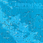 Fripp & Eno - The Equatorial Stars LP (200g)