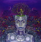 Erykah Badu - New Amerykah Part Two: Return of the Ankh 2LP