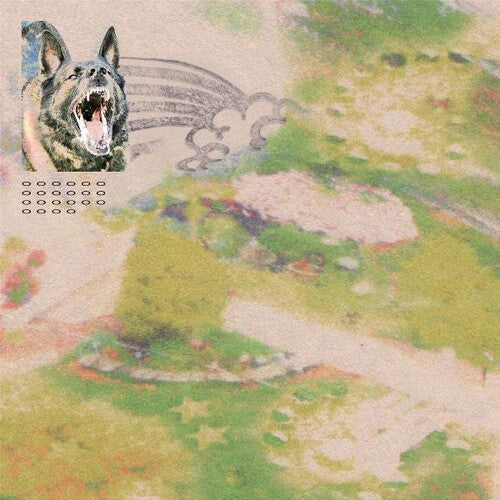 Feeble Little Horse - Girl With Fish LP (Indie Exclusive, Colored Vinyl, Gray, Black, Digital Download Card)