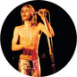 Iggy & The Stooges -  More Power LP (Picture Disc Vinyl, Remastered)